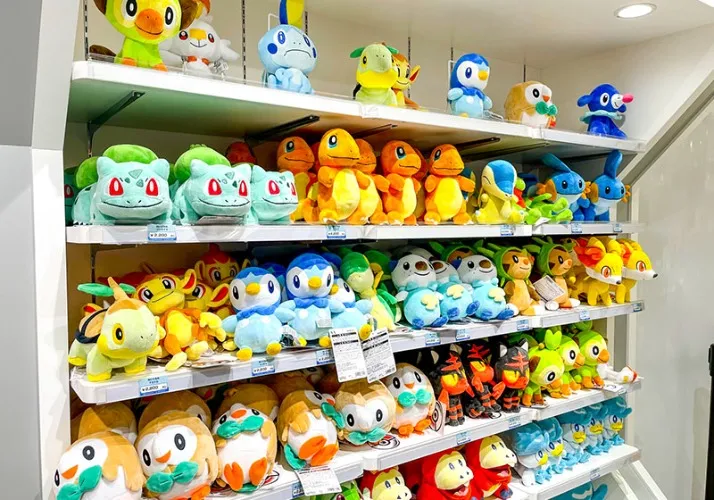 A pokemon plush of my choosing