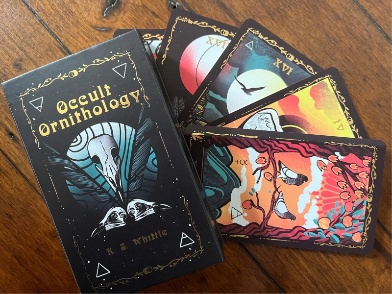 Occult Ornithology tarot 2nd edition- deck only! majors only deck celebrating the beauty of birds! -Deluxe set,  Bird lover gift, beginners
