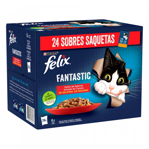 Cat treats FELIX 