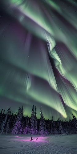 Northern lights trip