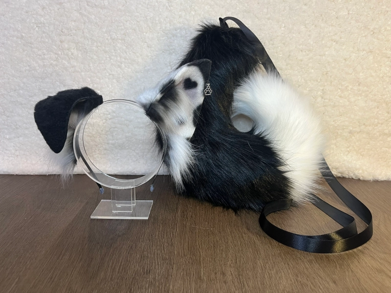 Black and white mix colour puppy ears and tail/kanine ears and tail