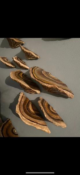 Set of 3 Mushroom fungi wall shelf polypore wall decor nature art goblincore fairycore Cottagecore witchy pagan sculpture art clay painting