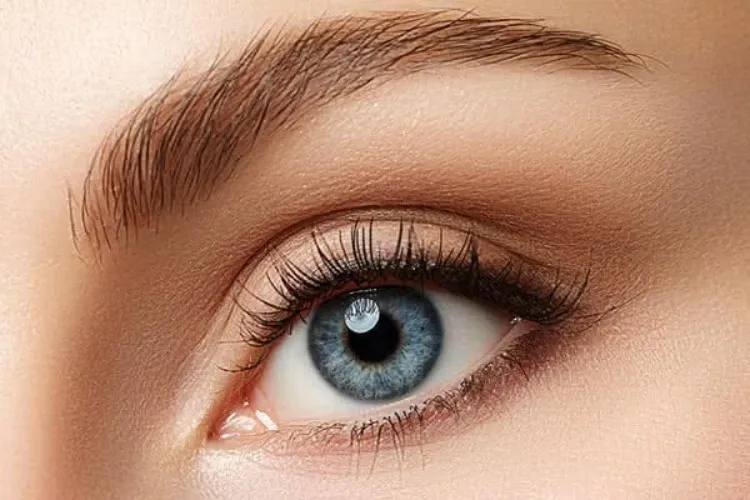 Lash Treatment