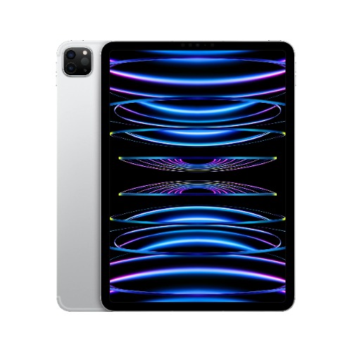 Apple 2022 iPad Pro 11" 4th gen