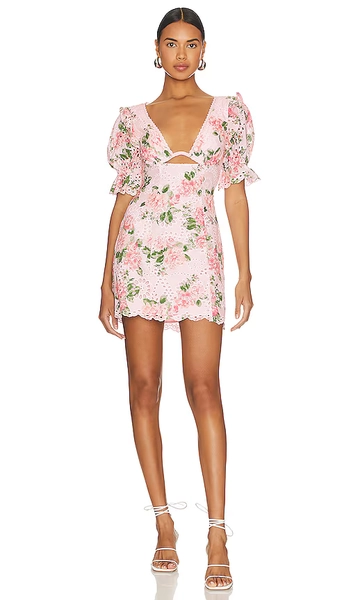 Chrishelle Mini Dress
