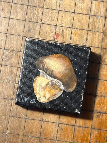 Original Acrylic Mushroom Painting on Canvas