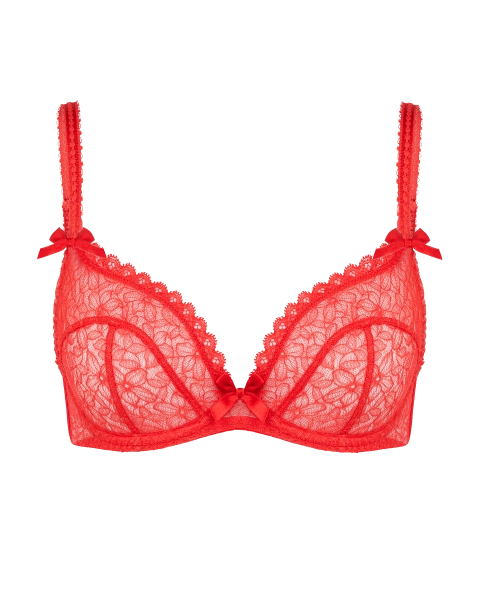 Aliza Plunge Underwired Bra