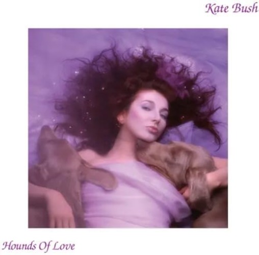 Hounds Of Love - 2018 Remaster 180gm Black Vinyl