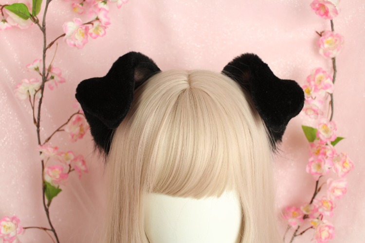 Floppy Puppy Ears | Labrador