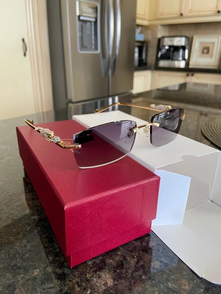 Vintage “Le Leopard” Diamond Frames