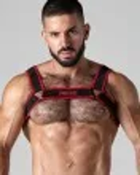 Locker Gear Mesh Harness - Red