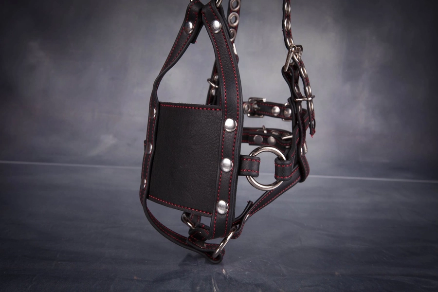 Panel Harness Gag (Muzzle Harness) — Bitches Love Leather