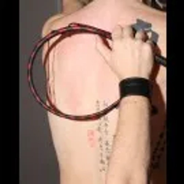 Target Whip 16 Plait