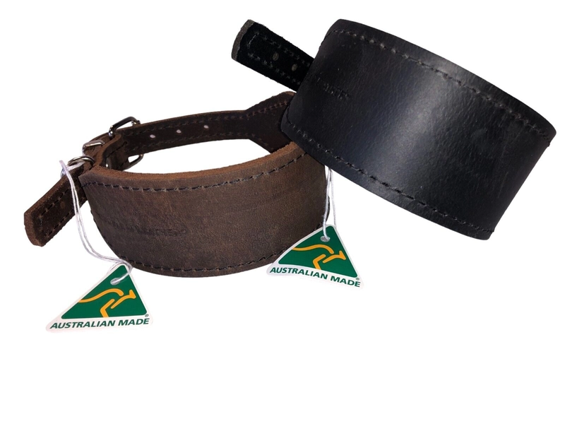 Whippet leather dog collar aust handmade