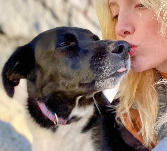 Valentine Licks