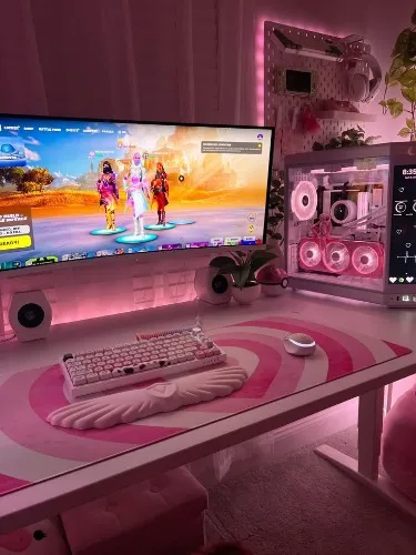 Laptop or PC fund 🐖💵🩷