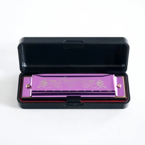 Leadtree Harmonica Key of C, Diatonic Blues Harmonica Harp Mouth Organ Harmonica 10 Holes 20 Tones, Standard Harmonica For Adults,Beginners and Students (Purple)