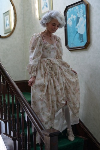 The Shakespeare In Love Romantics Dress | S