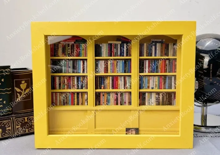 Original Anxiety Bookshelf With Over 260 Different Mini Books