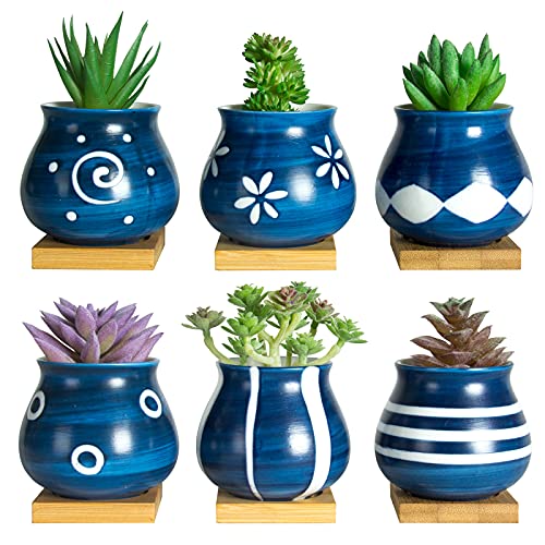 Cute Succulent Pots with Drainage Bamboo Tray - 3" Succulent Planters with Drainage Hole Ceramic Planter Tiny Pots for Indoor Small Plants, Small Pots for Succulents Cactus Container Set of 6