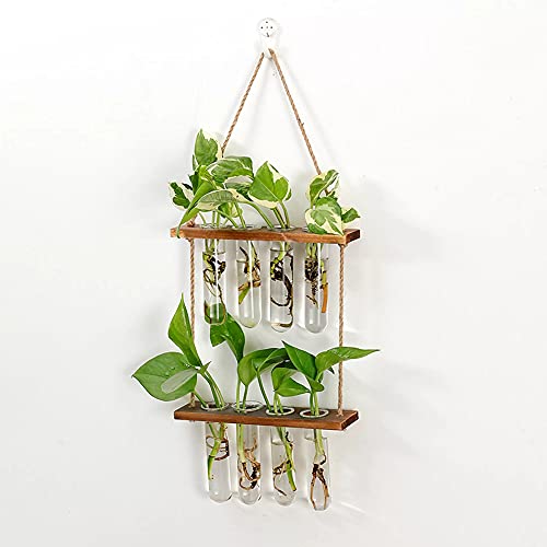 BUDDE Wall Hanging Planter, 2 Tiered Plant Propagation Stations Terrarium with Wooden Stand, Glass Planter Test Tube Vase for Propagating Hydroponic Plant Home Garden Decor-8 Bulb Vase, 2-layer frame - 2-layer frame