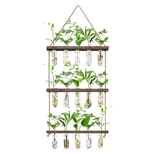 XXXFLOWER Wall Hanging Propagation Station with Wooden Stand 5 Glass Test Tubes 3 Tiered Planters Wall Terrarium for Home Office Plant Hanger Flower Vases Wall Decor Hydroponic Cuttings - Brown - 3 x 5