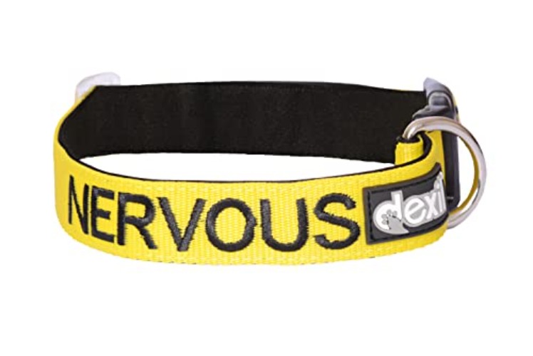 Nervous Yellow Color Coded Nylon S-M L-XL Buckle Dog Collar (Give Me Space) Prevents Accidents by Warning Others of Your Dog in Advance (S-M Collar) - 1 Count (Pack of 1)