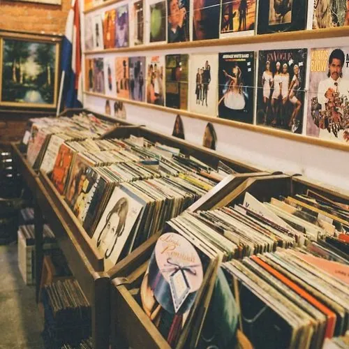 Vinyls
