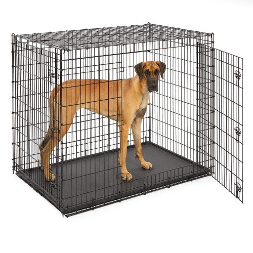 Midwest SL54DD Ginormus Double Door Dog Crate for XXL for the Largest Dogs Breeds, Great Dane, Mastiff, St. Bernard, Black