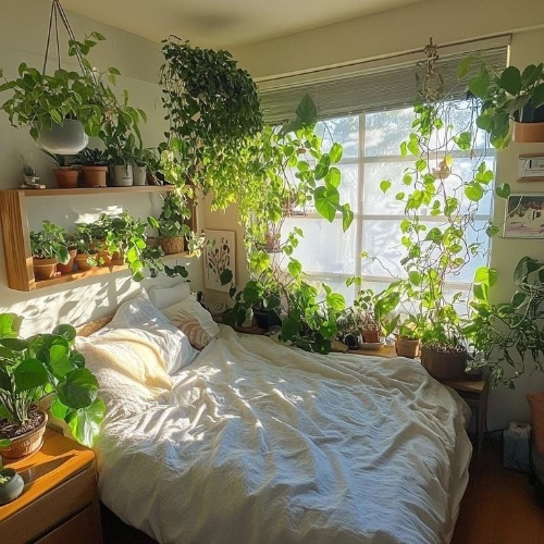 ♡ new plants ♡