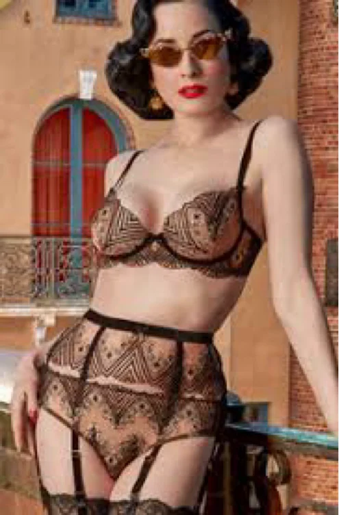 Fortunia Plunge Bra lingerie set