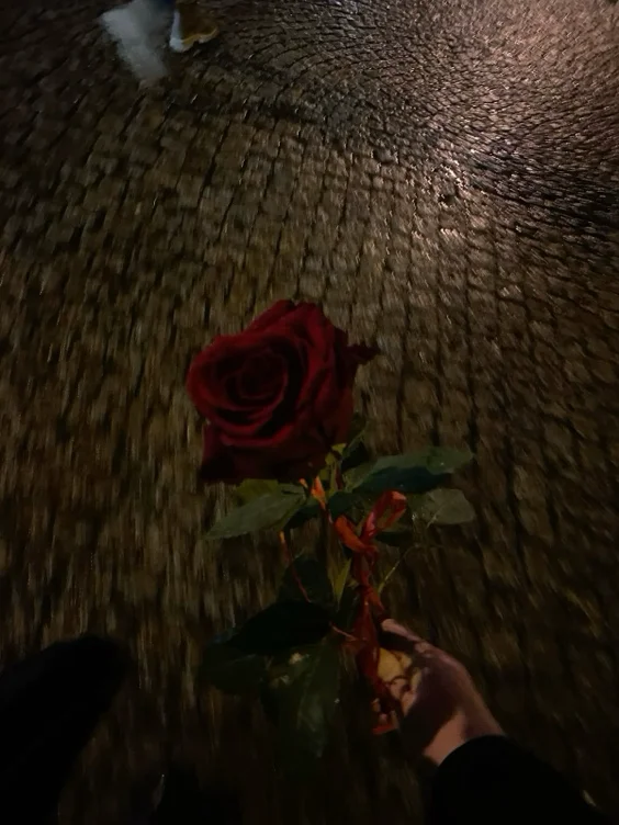 1 Single Rose 