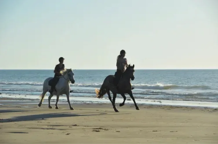 Balade à cheval / Horse ride 