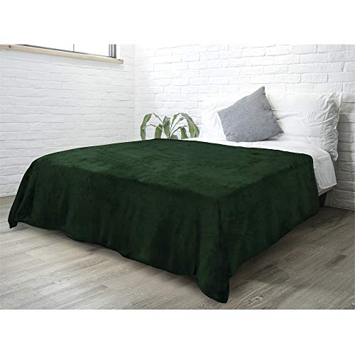 (230cm x 230cm - Queen, Emerald Green) - PAVILIA Fleece Blanket Queen Size Super Soft, Plush, Luxury Flannel Throw Lightweight Microfiber Blanket for Sofa Couch Bed (Emerald Green, 230cm x 230cm ) - Green - Queen