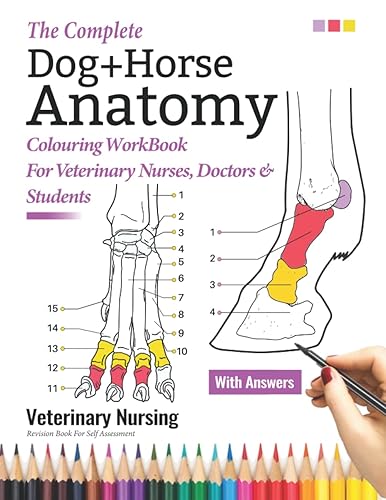 The Complete Dog + Horse Anatomy Colouring Workbook for Veterinary Nurses, Doctors & Students - Veterinary Nursing Revision Book for Self Assessment: Canine & Equine Coloring Book Gifts & Presents for VET Nurses Medical Students, Horse & Dog Lovers Girls