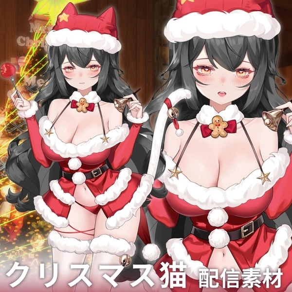 Vtuber L2D Rigged Asset - Santa Outfit