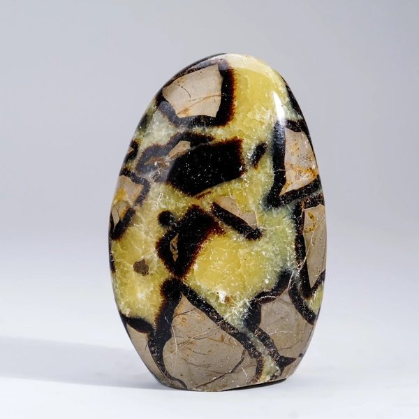 Polished Septarian Freeform from Madagascar (1.6 lbs)