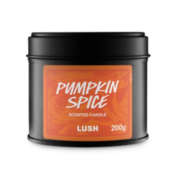Pumpkin Spice Single Wick Candle