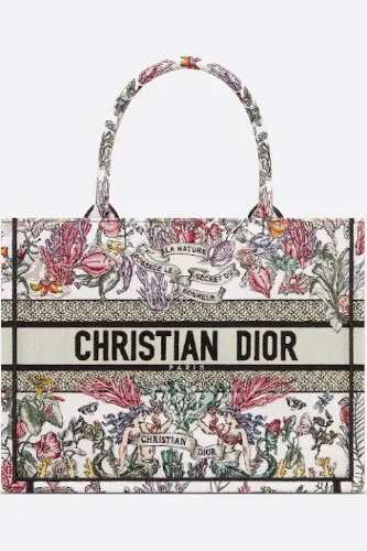 Dior Book Tote