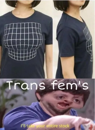 Boobs Optical Illusion LADIES t shirt, breast enlargement a cup present gift