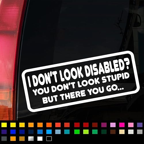 Not All Disabilities are Visible Funny Car Sticker, Disabled Funny Sticker Decal, Car Window Bumper Sticker, Funny Caravan Sticker, 200mm