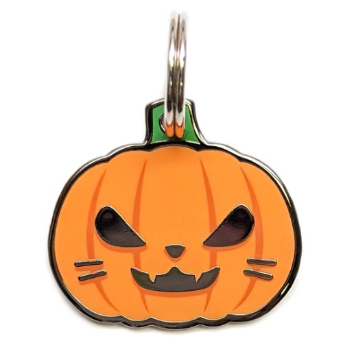 Pumpkin Pet Tag