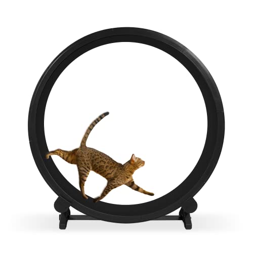 ONE FAST CAT - Cat Exercise Wheel - Safe 48" Diameter - Made in The USA - Black Base - Black - Black Wheels