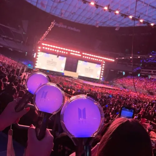 Concert Tickets ($400)