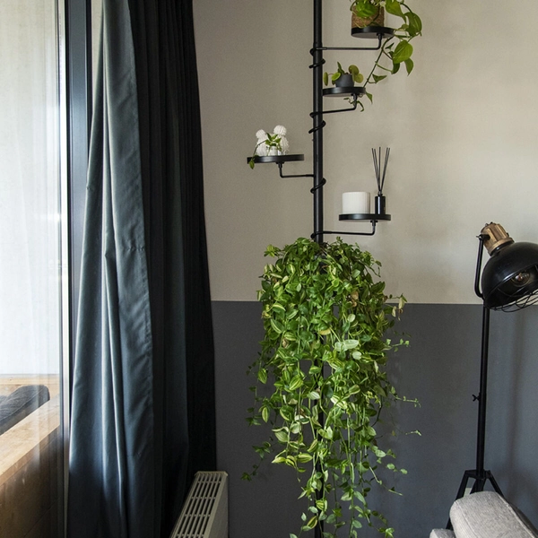 Kasvihylly teleskooppivarrella, koko L