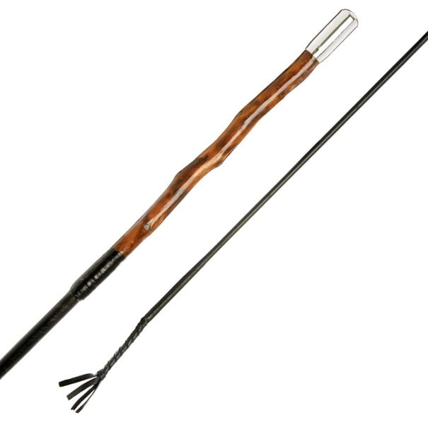 Döbert Dressurgerte mit Naturdorn-Griff