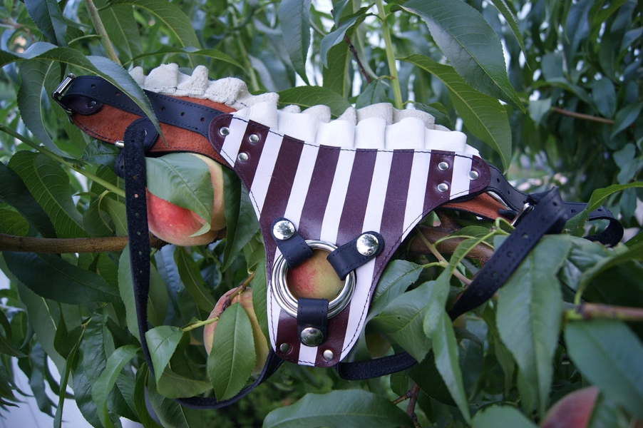 Strap On Harness - Strapon Harness - Circus Strap On - Leather Strap On Harness -  Strap On Harnesses - Leather Strap On - Dirty Darlings