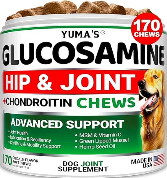 Glucosamine for Dogs - Hip and Joint Supplement for Dogs - 170 Ct - Glucosamine Chondroitin for Dogs - Dog Joint Pain Relief with MSM - Advanced Dog Joint Supplement Health - Mobility Support
