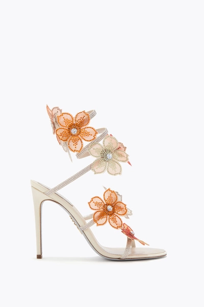 PEACH FLOWER IVORY AND ORANGE SANDAL 105 | Rene Caovilla