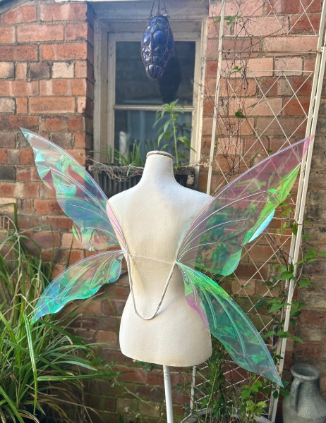 Iridescent fairy wings for Crysta